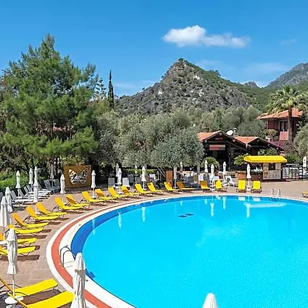 Sundia Suncity By Liberty